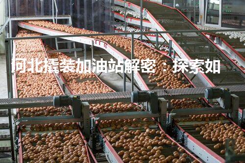 河北撬装加油站解密：探索如何利用提升您的搜索引擎排名！