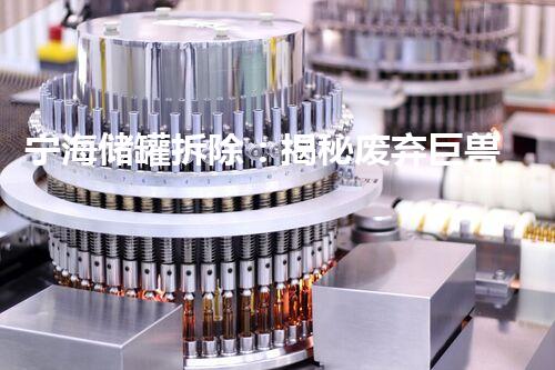 宁海储罐拆除：揭秘废弃巨兽，隐匿了什么惊天秘密？